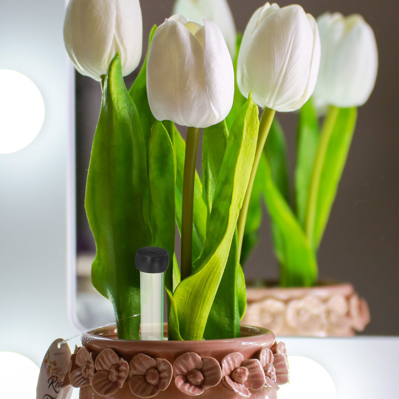 50 шт. прозрачных пластиковых  – обзор и цена Florist Flower Supply